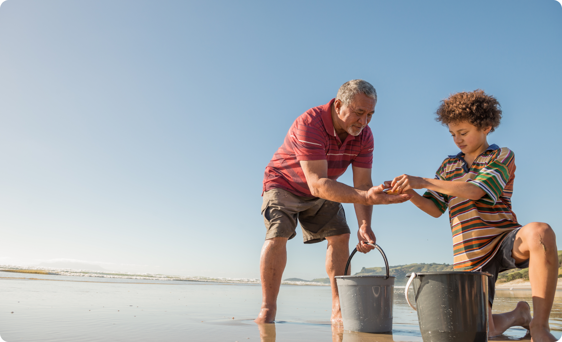 A man and young boy collect shells at the beach.