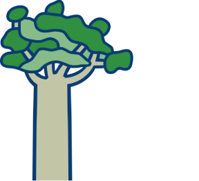 The Tindall Foundation logo.