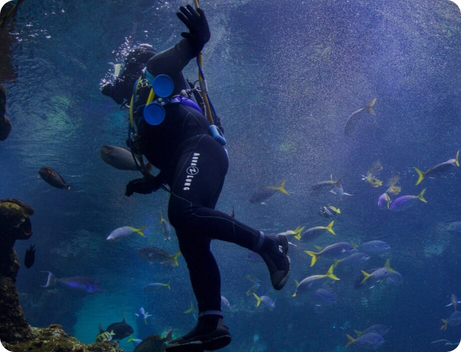 Diver in scuba gear swims amongst a shoal of colourful fish.