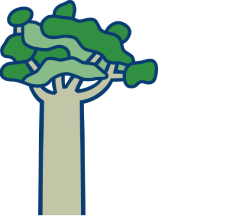 Tindall Foundation Logo.